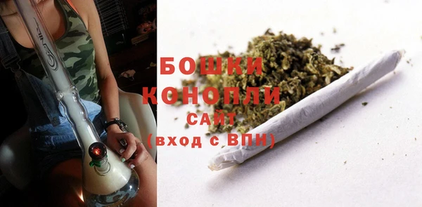 не бодяженный Арсеньев