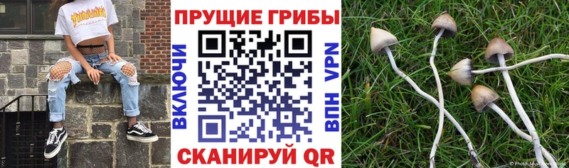 Псилоцибиновые грибы ЛСД  Очёр 